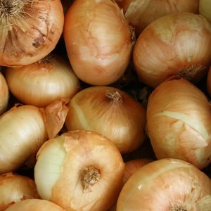 Oignons jaunes 500g