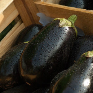Aubergines Noires Bio 1kg