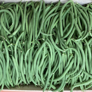 Haricots Verts bio 500g