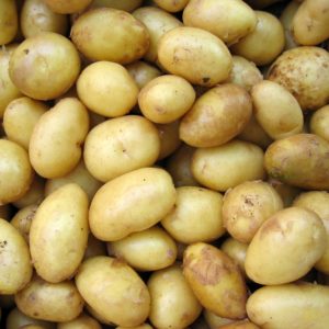 Pommes de terres nouvelles 1kg