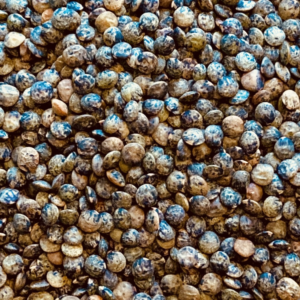 Lentilles vertes du Berry 500g