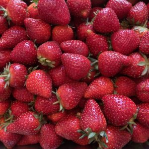 Fraises  Barquette 250g