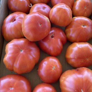Tomates anciennes variées 1 KG
