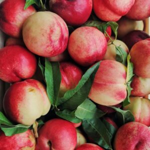 Nectarine blanche 1kg