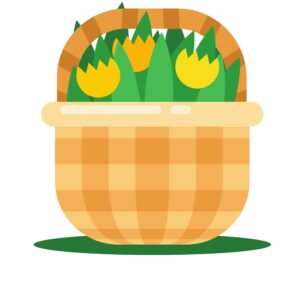 Panier de la semaine 08/06