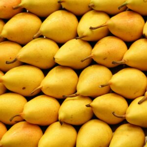 Poire Guyot